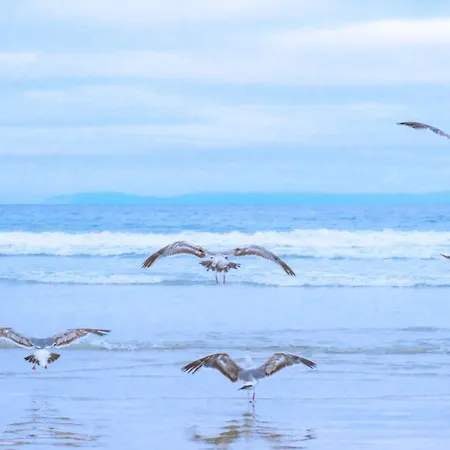 Duinland 249 בית נופש *