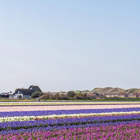 Duinland 249 * Sint Maartensvlotbrug