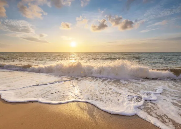 Duinland 249 Holiday home