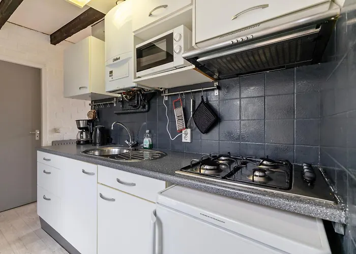 Ferienhaus Duinland 249 *